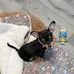 Jan Whitley - Facebook