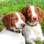 Jan Whitmore - @jan.whitmore.5 - Instagram