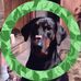 Janice Whitmore - Facebook