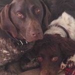Jan whittall - @jan.whittall5 - Instagram