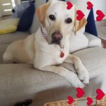 Jan Whittington - @whittington.jan - Instagram