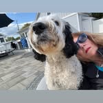 Jane Sullivan Whittington - @janesullivanwhittington - Instagram