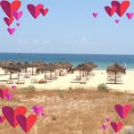 Jan Widdows - @widdowsjan - Instagram