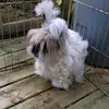Jan Widdows Rebmann - @janrebmann - TikTok