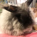 Jan Widdows Rebmann - @janrebmann - Instagram