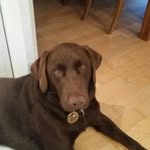 jan walter widmer - @janwawi - Instagram