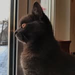 @janna.widmer751 - Instagram