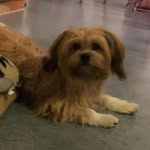 Jannnibani - @widmerjana3 - Instagram