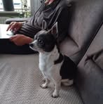 Jan Wiegman - Facebook