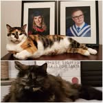 Jan Wiens - @jejw_ab - Instagram