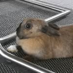 jani23 - @jan_wiens - Instagram
