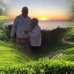 Jan Wiggins - @jan_wiggins_983 - Instagram