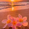 Jane Wight - @melanie.wight - TikTok
