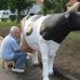 Jan Wika - Facebook