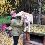 Jan Wilberg - @janwilberg - Instagram