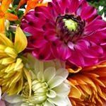 Jan Wilbur - @wilbur193 - Instagram