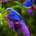 Wilbur Janes - Facebook