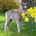 Jan Wilder - Facebook