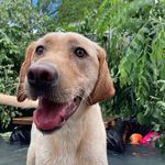 Jan Trigilio Wiles - @janetwiles - Instagram