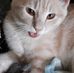 Janice Wiles - Facebook