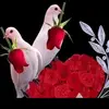 Jan will - @jan.will7 - TikTok