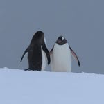 Jan Willem Zwang - @janwillemzwang - Instagram
