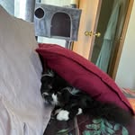 Jan Willson Hehir - @janwillsonhehir - Instagram