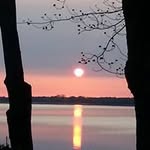 Jan Willis - @willis_jan - Instagram