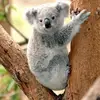 Jannwings - @jannwings - TikTok