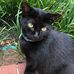Jan Winstead - Facebook