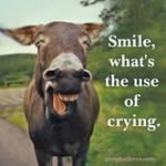 Jan Witham - @janwitham - Instagram