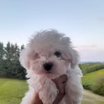 Jan Witham - @jan_bolos69 - Instagram