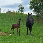 Jan-Erik Wold - @janerik.wold - Instagram