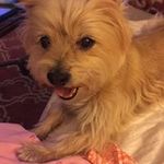 Jan Dinsmore Womack - @jandinsmorewomack - Instagram