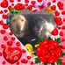 Jan Wray - Facebook