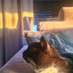 Jan Wrede - Facebook