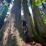 Jan Wreden - @janwreden - Instagram