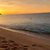 janwulff817 - @janwulff817 - TikTok