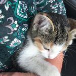 Jan Wyatt - @janicesells - Instagram