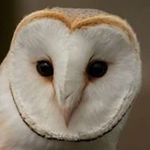 Jan Wyatt - @janet.wyatt.3114 - Instagram
