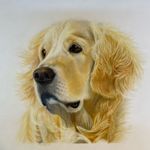 Jane Twyman - @jane.twyman.art - Instagram