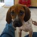 Jan Yarbrough - Facebook