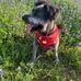 Janie Yarbrough - Facebook