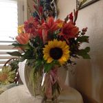 Jan Yeager - @yjanyeager - Instagram