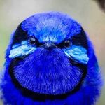 Jan Yeager - @yeagerjan - Instagram