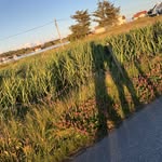 Jan Yee - @myogio - Instagram
