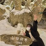 貞yee🐊 - @jan._.yee - Instagram