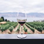 Jan Yoder - @justwinereviews101 - Instagram