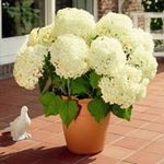 Jan York - @york2108 - Instagram