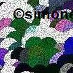 Jan York - @simonevaldevies - Instagram